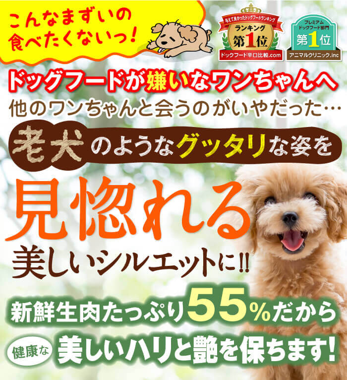 こんなまずいの食べたくないっ！ ドッグフードが嫌いなワンちゃんへ 他のワンちゃんと会うのがいやだった…　老犬のようなグッタリ毛ツヤを見惚れる美しいシルエットに!!　新鮮生肉たっぷり55％だから健康なピカピカ毛つやに！　プレミアムドッグフード部門第1位　2016年口コミサイト