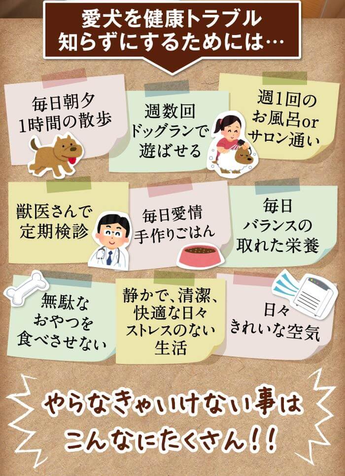愛犬を健康トラブル知らずにするためには…　毎日朝夕1時間の散歩　週数回ドッグランで遊ばせる　週１回のお風呂orサロン通い　獣医さんで定期検診　毎日愛情手作りごはん　毎日バランスの取れた栄養　無駄なおやつを食べさせない　静かで、清潔、快適な日々ストレスのない生活　日々きれいな空気　やらなきゃいけない事はこんなにたくさん！！