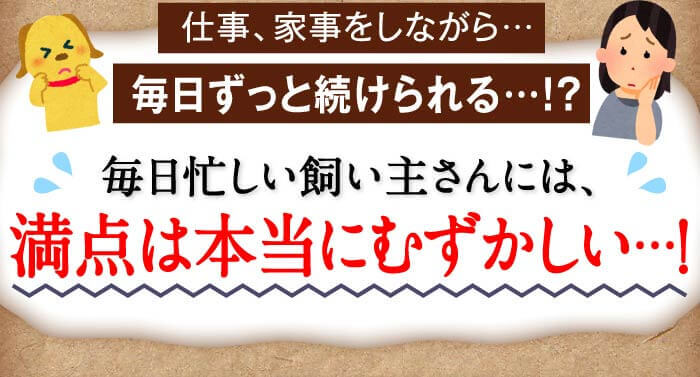 仕事、家事をしながら…毎日ずっと続けられる…！？毎日忙しい飼い主さんには、満点は本当にむずかしい…！
