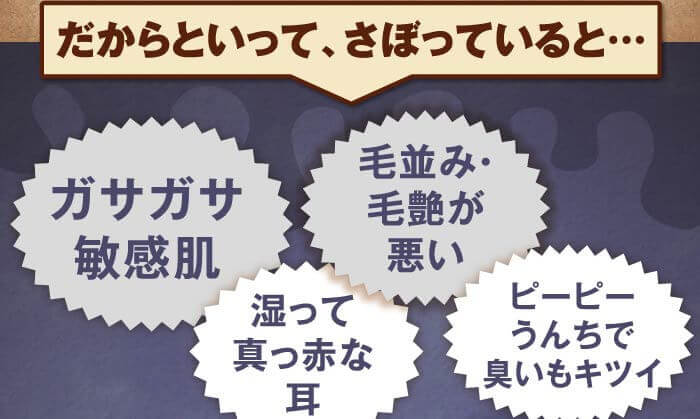 だからといって、さぼっていると…　ガサガサ敏感肌　湿って真っ赤な耳　毛並み・毛艶が悪い　ピーピーうんちで臭いもキツイ