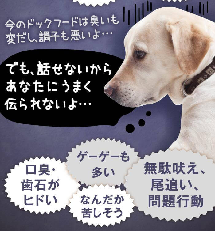 今のドックフードは臭いも変だし、調子も悪いよ…　でも、話せないからあなたにうまく伝られないよ…　口臭・歯石がヒドい　ゲーゲーも多い　なんだか苦しそう 無駄吠え、尾追い、問題行動