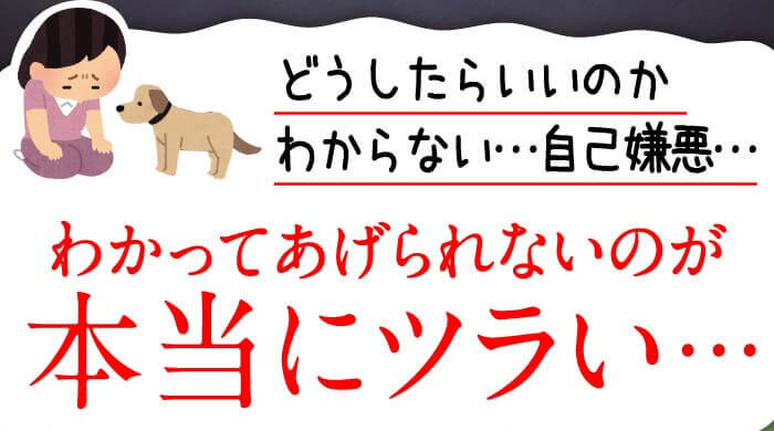 どうしたらいいのかわからない…自己嫌悪…　わかってあげられないのが本当にツラい…