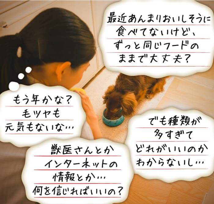 最近あんまりおいしそうに食べてないけど、ずっと同じフードのままで大丈夫？　もう年かな？毛ツヤも元気もないな…　でも種類が多すぎてどれがいいのかわからないし…　獣医さんとかインターネットの情報とか…何を信じればいいの？