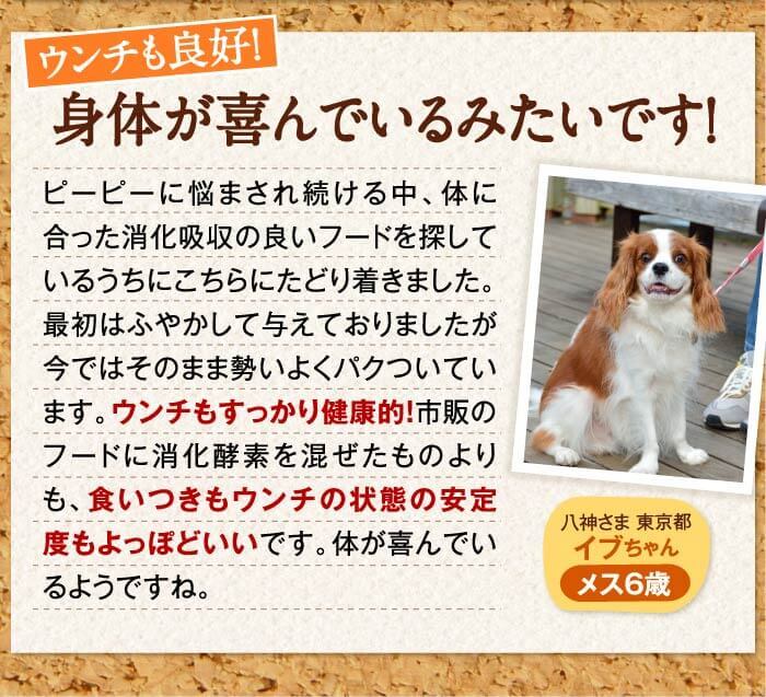 ウンチも良好！　身体が喜んでいるみたいです！　ピーピーに悩まされ続ける中、体に合った消化吸収の良いフードを探しているうちにこちらにたどり着きました。最初はふやかして与えておりましたが今ではそのまま勢いよくパクついています。ウンチもすっかり健康的！市販のフードに消化酵素を混ぜたものよりも、食いつきもウンチの状態の安定度もよっぽどいいです。体が喜んでいるようですね。　八神さま 東京都イブちゃん　メス6歳