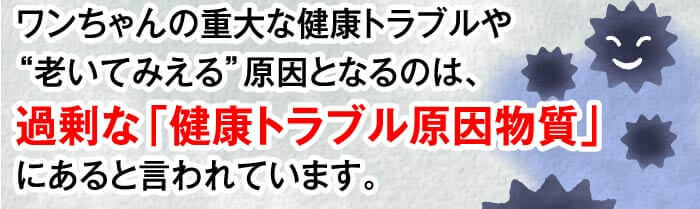 ワンちゃんの重大な健康トラブルや“老いてみえる”原因となるのは、過剰な「健康トラブル原因物質」にあると言われています。