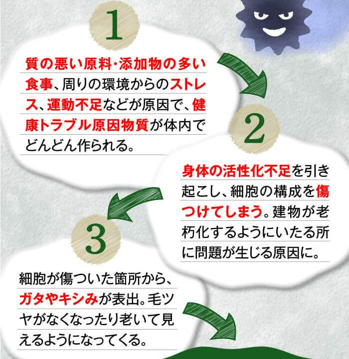 1質の悪い原料・添加物の多い食事、周りの環境からのストレス、運動不足などが原因で、健康トラブル原因物質が体内でどんどん作られる。　2身体の活性化不足を引き起こし、細胞の構成を傷つけてしまう。建物が老朽化するようにいたる所に問題が生じる原因に。　3細胞が傷ついた箇所から、ガタやキシみが表出。毛ツヤがなくなったり老いて見えるようになってくる。