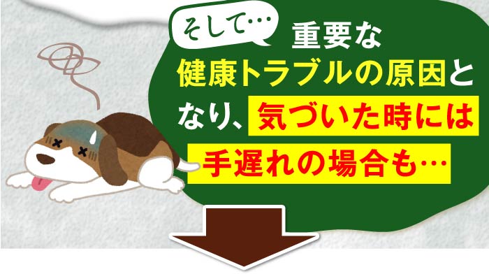 そして…  重要な健康トラブルの原因となり、気づいた時には手遅れの場合も…
