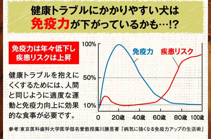 健康トラブルにかかりやすい犬は免疫力が下がっているかも…！？　健康トラブルを抱えにくくするためには、人間と同じように適度な運動と免疫力向上に効果的な食事が必要です。　免疫力は年々低下し、疾患リスクは上昇　参考：東京医科歯科大学医学部名誉教授廣川勝昱著 「病気に強くなる免疫力アップの生活術」