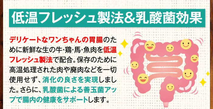 低温フレッシュ製法＆乳酸菌効果　デリケートなワンちゃんの胃腸のために新鮮な生の牛・鶏・馬・魚肉を低温フレッシュ製法で配合。保存のために高温処理された肉や廃肉などを一切使用せず、消化の良さを実現しました。さらに、乳酸菌による善玉菌アップで腸内の健康をサポートします。