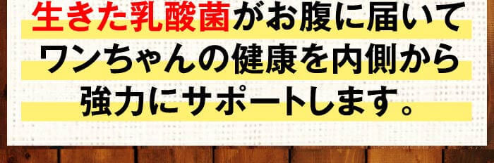 生きた乳酸菌がお腹に届いてワンちゃんの健康を内側から強力にサポートします。