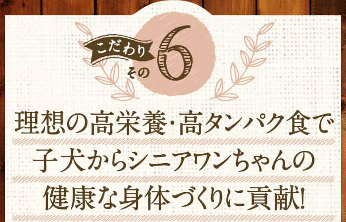 こだわりその6　理想の高栄養・高タンパク食で子犬からシニアワンちゃんの健康な身体づくりに貢献！