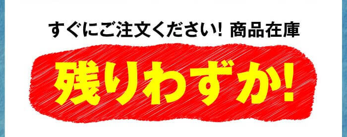 すぐにご注文ください！ 商品在庫残りわずか！