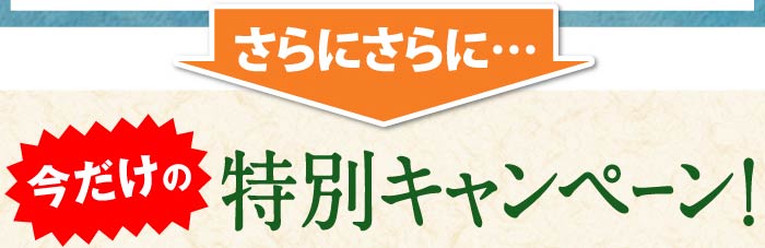 さらにさらに…今だけの特別キャンペーン！
