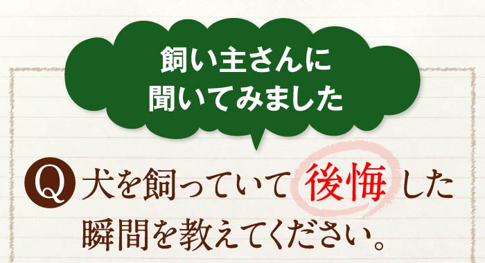 飼い主さんに聞いてみました