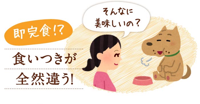 即完食！？　食いつきが全然違う！　そんなに美味しいの？