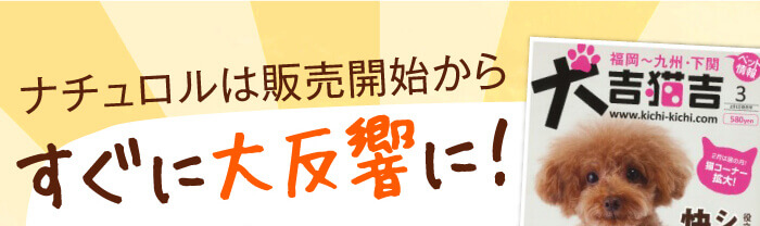 すぐに大反響に！　すぐに大反響に！