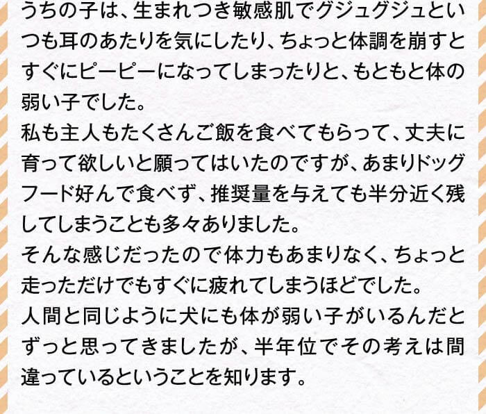 うちの子は、生まれつき敏感肌でグジュグジュといつも耳のあたりを気にしたり、ちょっと体調を崩すとすぐにピーピーになってしまったりと、もともと体の弱い子でした。私も主人もたくさんご飯を食べてもらって、丈夫に育って欲しいと願ってはいたのですが、あまりドッグフード好んで食べず、推奨量を与えても半分近く残してしまうことも多々ありました。そんな感じだったので体力もあまりなく、ちょっと走っただけでもすぐに疲れてしまうほどでした。人間と同じように犬にも体が弱い子がいるんだとずっと思ってきましたが、半年位でその考えは間違っているということを知ります。