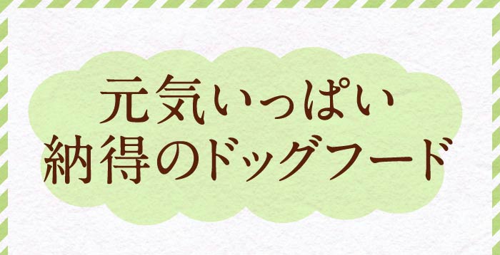 元気いっぱい納得のドッグフード