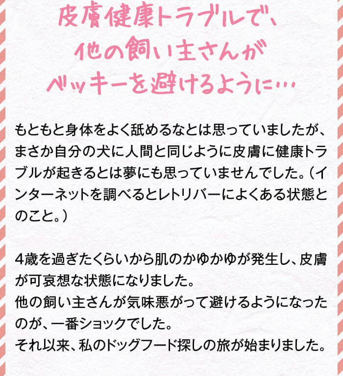 皮膚健康トラブルで、他の飼い主さんがベッキーを避けるように…　もともと身体をよく舐めるなとは思っていましたが、まさか自分の犬に人間と同じように皮膚に健康トラブルが起きるとは夢にも思っていませんでした。（インターネットを調べるとレトリバーによくある状態とのこと。）4歳を過ぎたくらいから肌のかゆかゆが発生し、皮膚が可哀想な状態になりました。他の飼い主さんが気味悪がって避けるようになったのが、一番ショックでした。それ以来、私のドッグフード探しの旅が始まりました。
