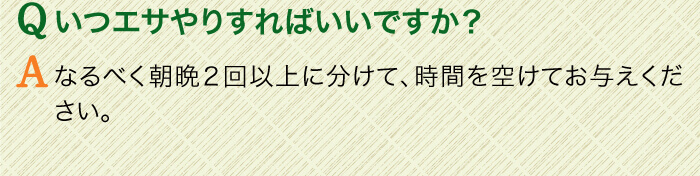 Qいつエサやりすればいいですか？　Aなるべく朝晩２回以上に分けて、時間を空けてお与えください。