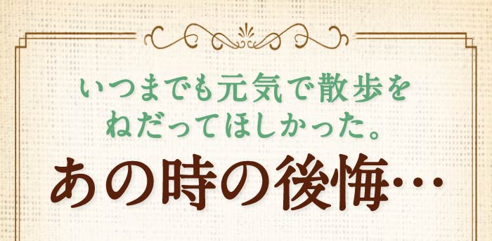 いつまでも元気で散歩をねだってほしかった。　あの時の後悔…