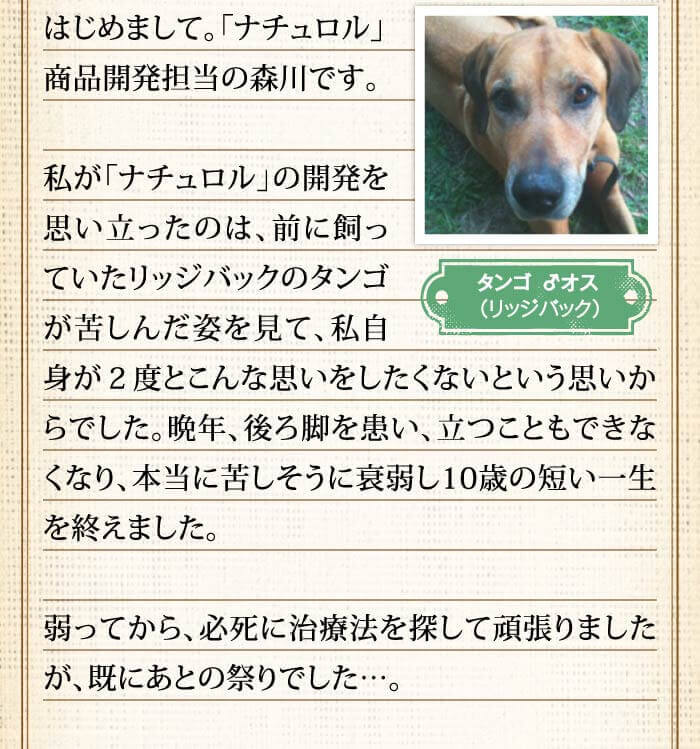 タンゴ オス（リッジバック）　はじめまして。「ナチュロル」商品開発担当の森川です。私が「ナチュロル」の開発を思い立ったのは、前に飼っていたリッジバックのタンゴが苦しんだ姿を見て、私自身が２度とこんな思いをしたくないという思いからでした。晩年、後ろ脚を患い、立つこともできなくなり、本当に苦しそうに衰弱し10歳の短い一生を終えました。弱ってから、必死に治療法を探して頑張りましたが、既にあとの祭りでした…。
