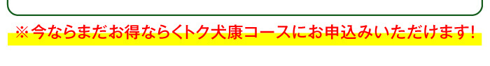 ※今ならまだお得ならくトク犬康コースにお申込みいただけます！