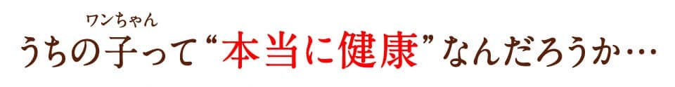 うちの子って“本当に健康”なんだろうか…