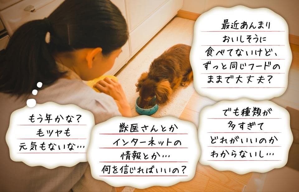 もう年かな？毛ツヤも元気もないな…　獣医さんとかインターネットの情報とか…何を信じればいいの？　最近あんまりおいしそうに食べてないけど、ずっと同じフードのままで大丈夫？　でも種類が多すぎてどれがいいのかわからないし…