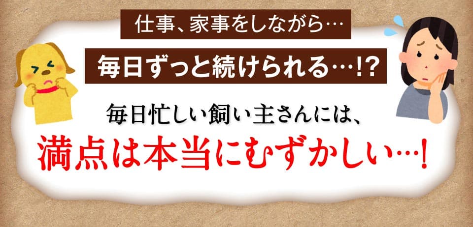 仕事、家事をしながら…毎日ずっと続けられる…！？毎日忙しい飼い主さんには、満点は本当にむずかしい…！