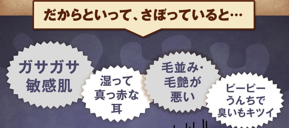 だからといって、さぼっていると…　ガサガサ敏感肌　湿って真っ赤な耳　毛並み・毛艶が悪い　ピーピーうんちで臭いもキツイ