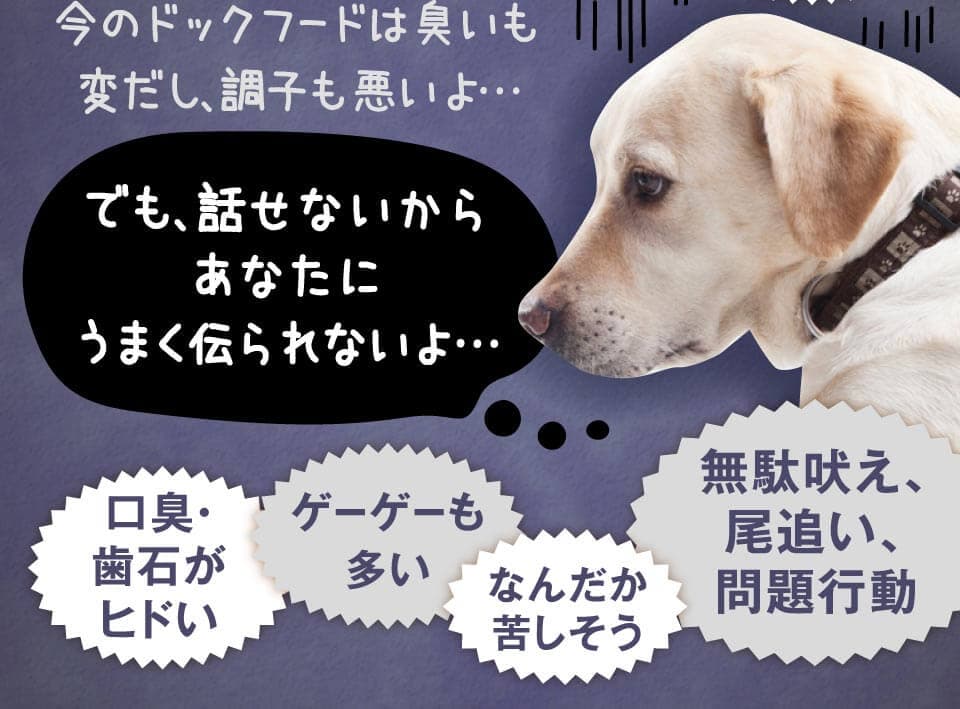 今のドックフードは臭いも変だし、調子も悪いよ…　でも、話せないからあなたにうまく伝られないよ…　口臭・歯石がヒドい　ゲーゲーも多い　なんだか苦しそう 無駄吠え、尾追い、問題行動