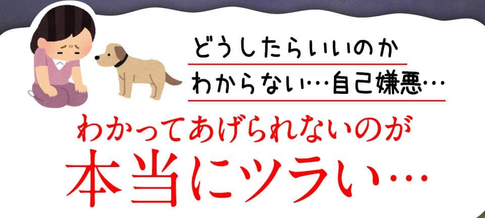 どうしたらいいのかわからない…自己嫌悪…　わかってあげられないのが本当にツラい…