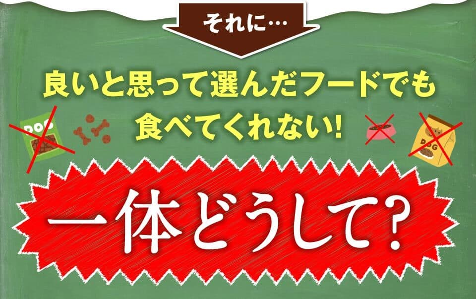 それに…良いと思って選んだフードでも食べてくれない！一体どうして？
