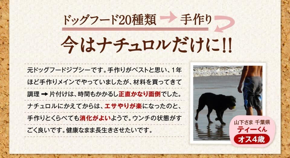 ドッグフード20種類　 手作り　今はナチュロルだけに！！　元ドッグフードジプシーです。手作りがベストと思い、1年ほど手作りメインでやっていましたが、材料を買ってきて調理→片付けは、時間もかかるし正直かなり面倒でした。ナチュロルにかえてからは、エサやりが楽になったのと、手作りとくらべても消化がよいようで。ウンチの状態がすごく良いです。健康なまま長生きさせたいです。　山下さま 千葉県ティーくん　オス4歳
