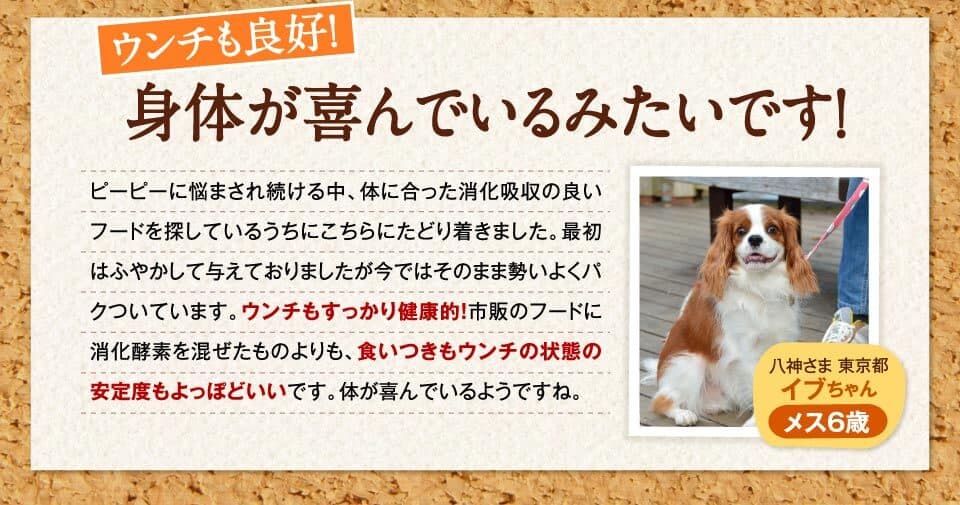 ウンチも良好！　身体が喜んでいるみたいです！　ピーピーに悩まされ続ける中、体に合った消化吸収の良いフードを探しているうちにこちらにたどり着きました。最初はふやかして与えておりましたが今ではそのまま勢いよくパクついています。ウンチもすっかり健康的！市販のフードに消化酵素を混ぜたものよりも、食いつきもウンチの状態の安定度もよっぽどいいです。体が喜んでいるようですね。　八神さま 東京都イブちゃん　メス6歳