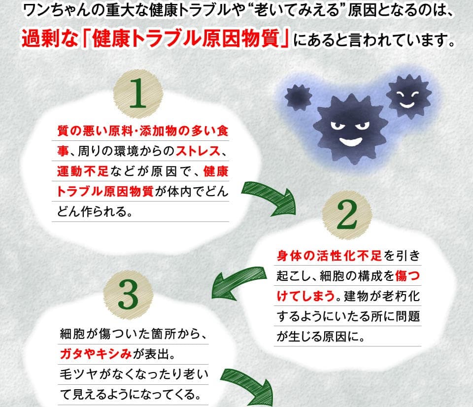 ワンちゃんの重大な健康トラブルや“老いてみえる”原因となるのは、過剰な「健康トラブル原因物質」にあると言われています。　1質の悪い原料・添加物の多い食事、周りの環境からのストレス、運動不足などが原因で、健康トラブル原因物質が体内でどんどん作られる。2身体の活性化不足を引き起こし、細胞の構成を傷つけてしまう。建物が老朽化するようにいたる所に問題が生じる原因に。　3細胞が傷ついた箇所から、ガタやキシみが表出。毛ツヤがなくなったり老いて見えるようになってくる。