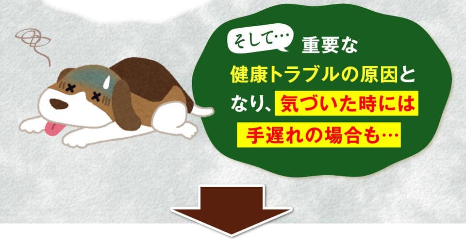 そして…  重要な健康トラブルの原因となり、気づいた時には手遅れの場合も…