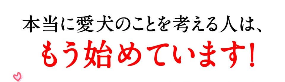 本当に愛犬のことを考える人は、もう始めています！