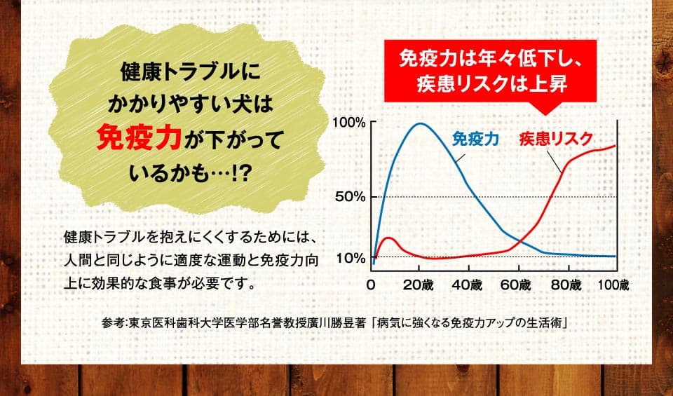 健康トラブルにかかりやすい犬は免疫力が下がっているかも…！？　健康トラブルを抱えにくくするためには、人間と同じように適度な運動と免疫力向上に効果的な食事が必要です。　免疫力は年々低下し、疾患リスクは上昇　参考：東京医科歯科大学医学部名誉教授廣川勝昱著 「病気に強くなる免疫力アップの生活術」