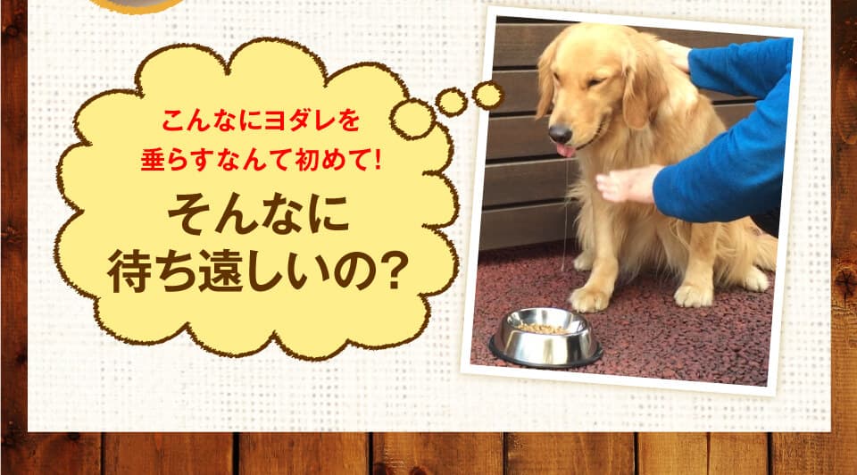 こんなにヨダレを垂らすなんて初めて！そんなに待ち遠しいの？