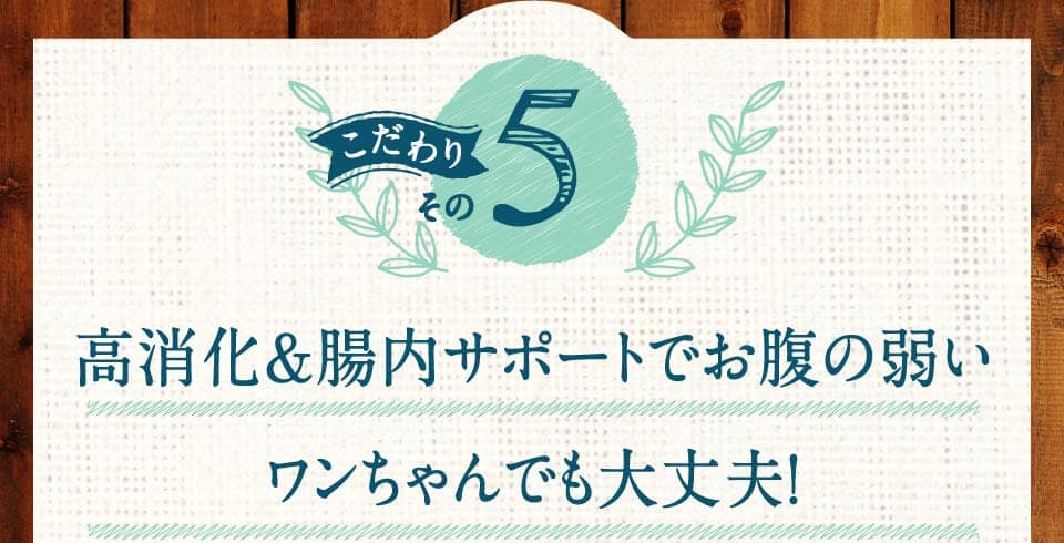 こだわりその5　高消化＆腸内サポートでお腹の弱いワンちゃんでも大丈夫！