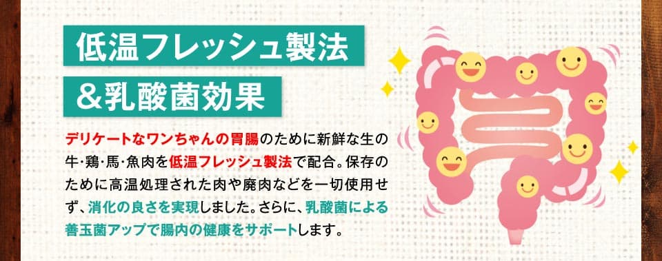 低温フレッシュ製法＆乳酸菌効果　デリケートなワンちゃんの胃腸のために新鮮な生の牛・鶏・馬・魚肉を低温フレッシュ製法で配合。保存のために高温処理された肉や廃肉などを一切使用せず、消化の良さを実現しました。さらに、乳酸菌による善玉菌アップで腸内の健康をサポートします。
