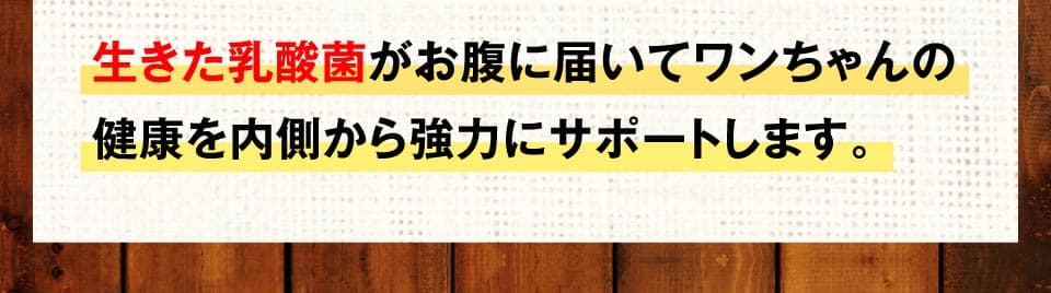 生きた乳酸菌がお腹に届いてワンちゃんの健康を内側から強力にサポートします。