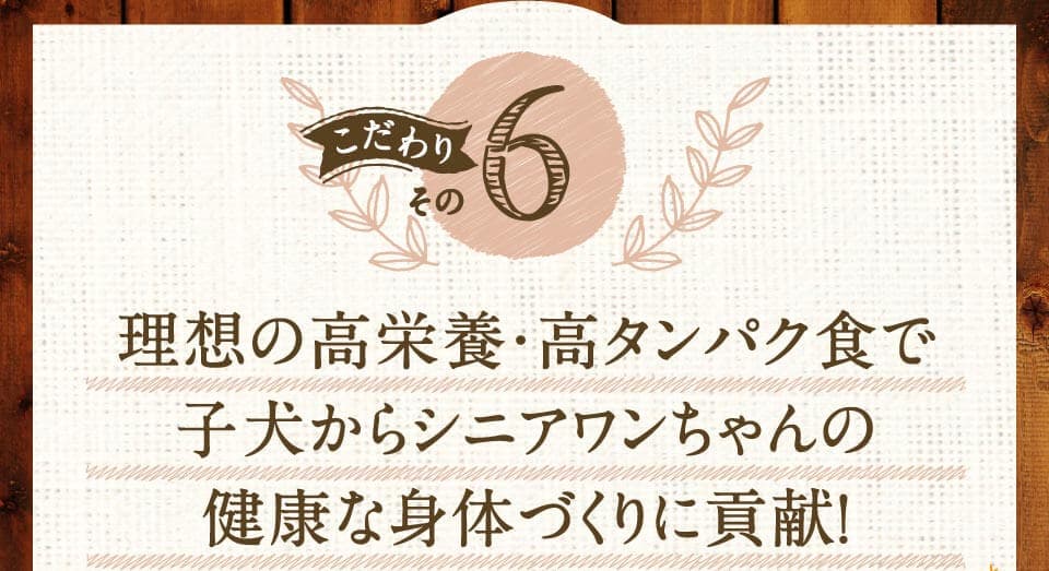 こだわりその6　理想の高栄養・高タンパク食で子犬からシニアワンちゃんの健康な身体づくりに貢献！