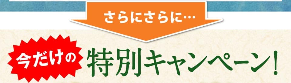 さらにさらに…今だけの特別キャンペーン。