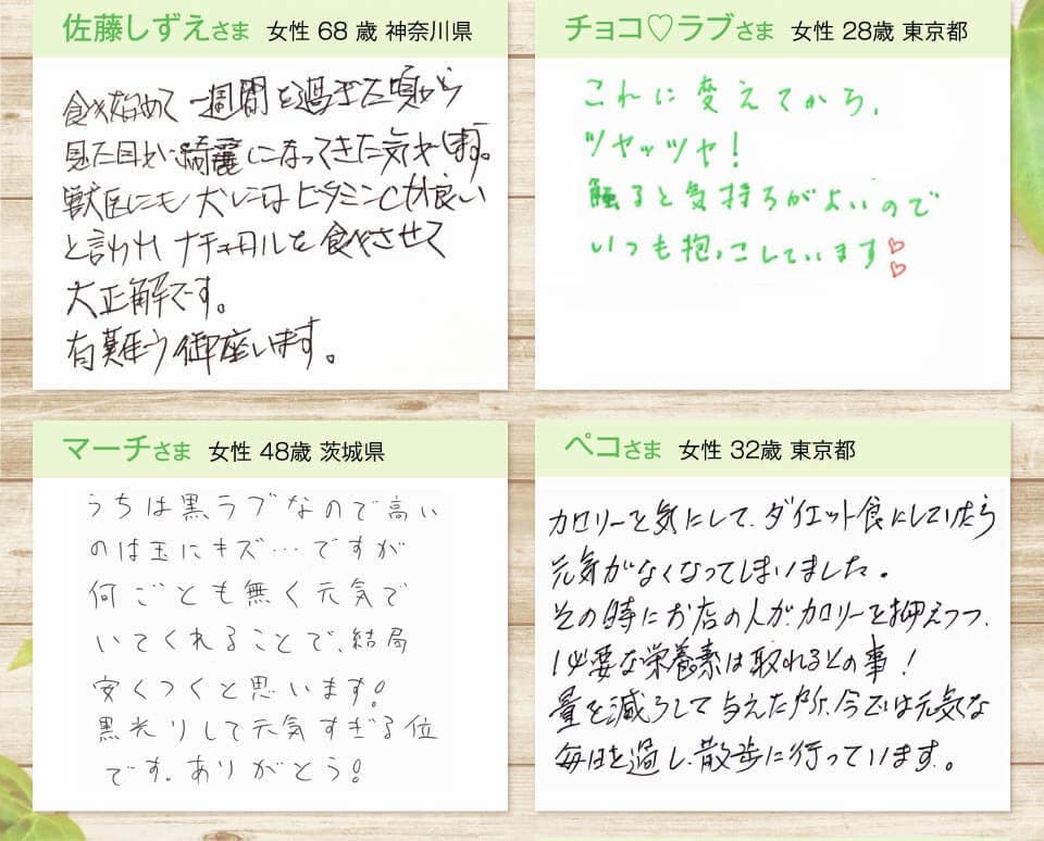 佐藤しずえさま  女性 68 歳 神奈川県　食べ始めて一週間を過ぎた頃から見た目が綺麗になってきた気がします。獣医にも犬にはビタミンCが良いと言われナチュロルを食べさせて大正解です。有難う御座います。　チョコ ラブさま  女性 28歳 東京都　これに変えてからツヤッツヤ！気になっていた体臭もいつの間にかなくなりました。触ると気持ちがよいのでいつも抱っこしています　マーチさま  女性 48歳 茨城県　うちは黒ラブなので高いのは玉にキズ…ですが何ごとも無く元気でいてくれることで、結局安くつくと思います！黒光りして元気すぎる位です。ありがとう!　ペコさま  女性 32歳 東京都　カロリーを気にして、ダイエット食にしていたら元気がなくなってしましました。その時にお店の人が、カロリーを抑えつつ、必要な栄養素は取れるとの事！量を減らして与えた所、今では元気な毎日を過ごし、散歩に行っています。
