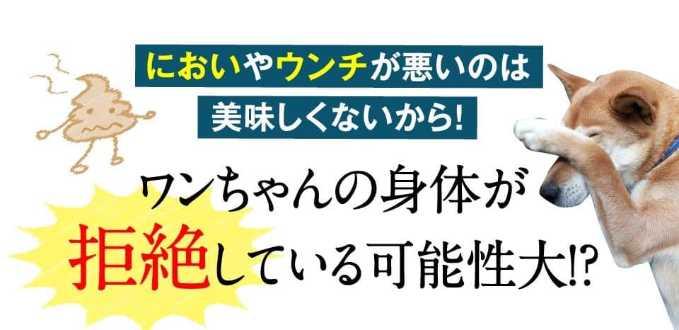 においやウンチが悪いのは美味しくないから！　ワンちゃんの身体が拒絶している可能性大！。