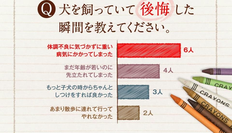 犬を飼っていて後悔した瞬間を教えてください。　体調不良に気づかずに重い病気にかかってしまった 6人　まだ年齢が若いのに先立たれてしまった 4人　もっと子犬の時からちゃんとしつけをすれば良かった 3人　あまり散歩に連れて行ってやれなかった 2人