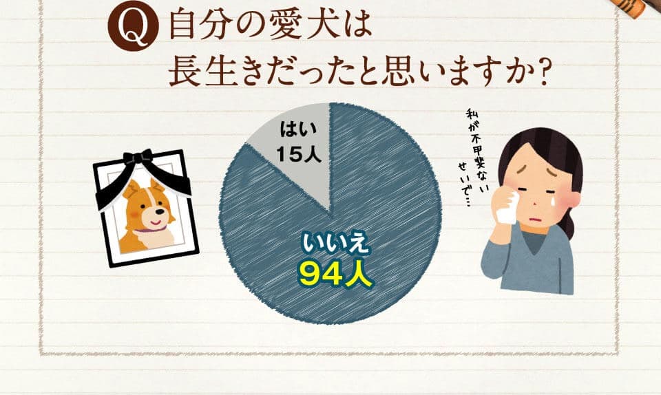 自分の愛犬は長生きだったと思いますか？　はい15人　いいえ94人